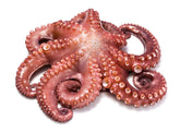 Pulpo 1-2 (1kg)